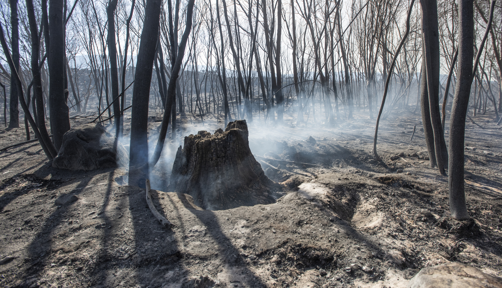in-photos-aftermath-of-silvermine-fire